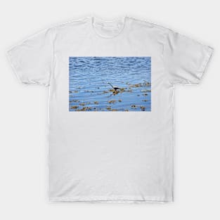 Heron hunting for fish on the River Tweed T-Shirt